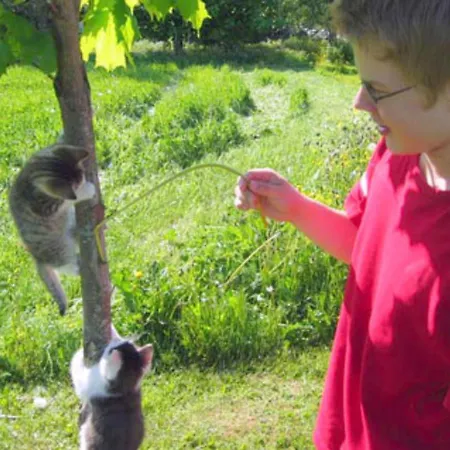 Vaaran By Interhome Vakantiehuis Pohjavaara